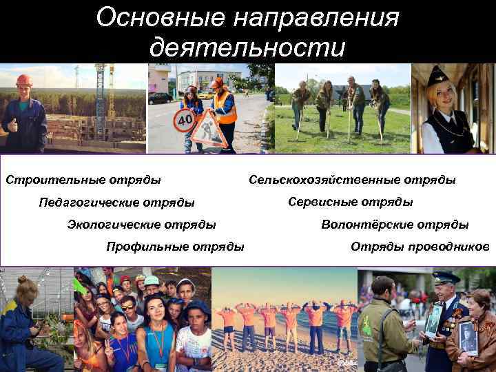 Основные направления деятельности Строительные отряды Педагогические отряды Экологические отряды Профильные отряды Сельскохозяйственные отряды Сервисные