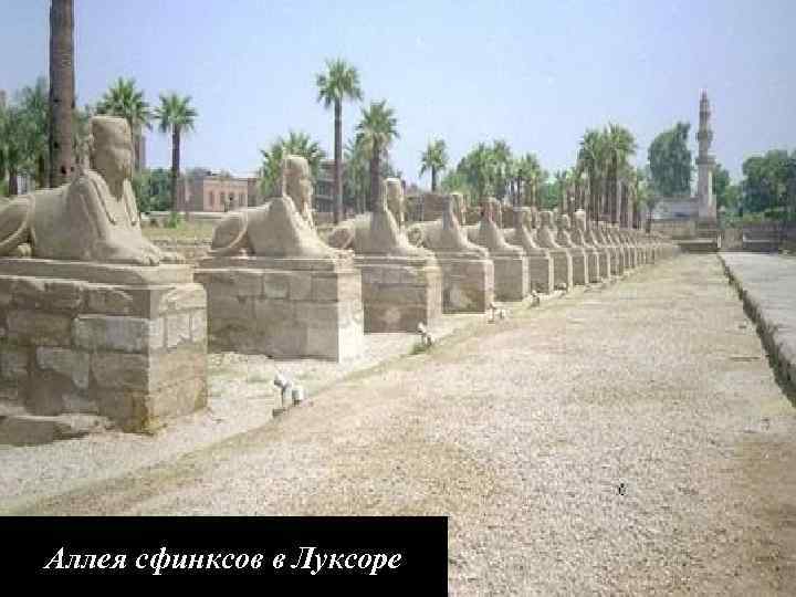 Аллея сфинксов в Луксоре 