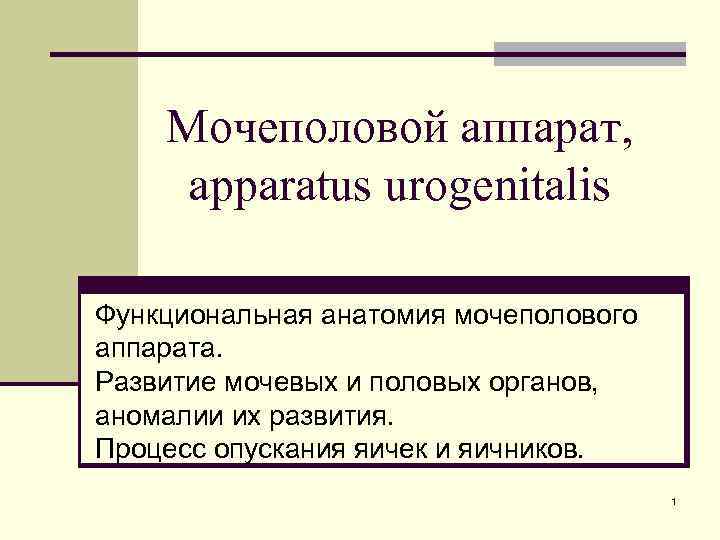 Мочеполовой аппарат, apparatus urogenitalis Функциональная анатомия мочеполового аппарата. Развитие мочевых и половых органов, аномалии