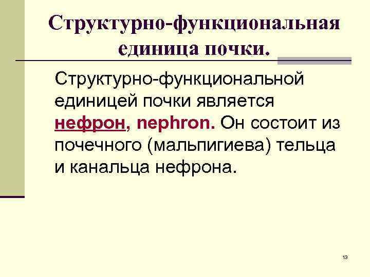 Структурно-функциональная единица почки. Структурно-функциональной единицей почки является нефрон, nephron. Он состоит из почечного (мальпигиева)