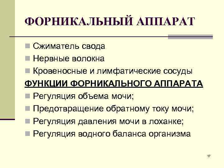 ФОРНИКАЛЬНЫЙ АППАРАТ n Сжиматель свода n Нервные волокна n Кровеносные и лимфатические сосуды ФУНКЦИИ