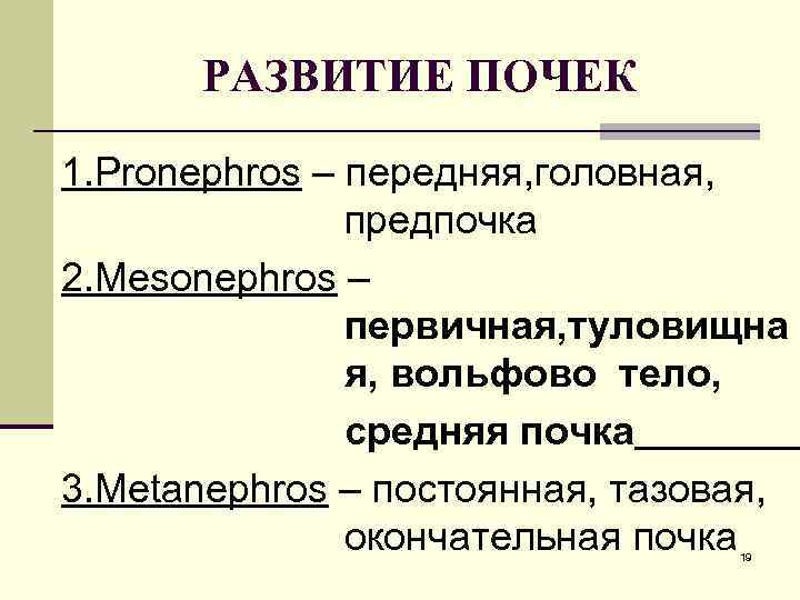 РАЗВИТИЕ ПОЧЕК 1. Pronephros – передняя, головная, предпочка 2. Mesonephros – первичная, туловищна я,