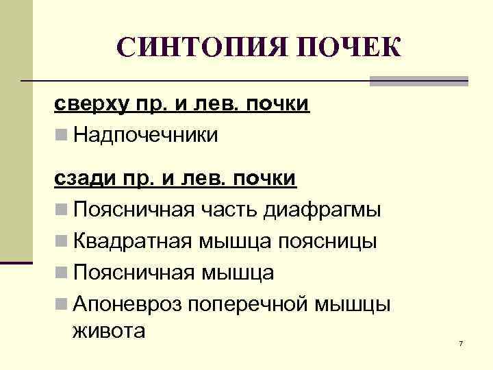 СИНТОПИЯ ПОЧЕК сверху пр. и лев. почки n Надпочечники сзади пр. и лев. почки