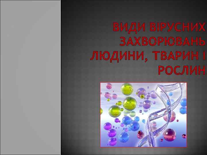 ВИДИ ВІРУСНИХ ЗАХВОРЮВАНЬ ЛЮДИНИ, ТВАРИН І РОСЛИН. 