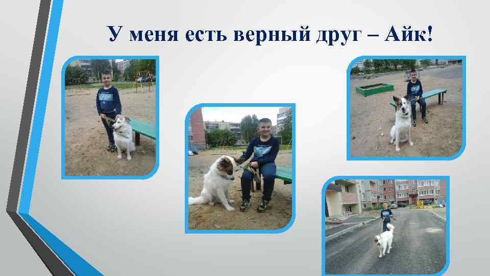 У меня есть верный друг – Айк! 