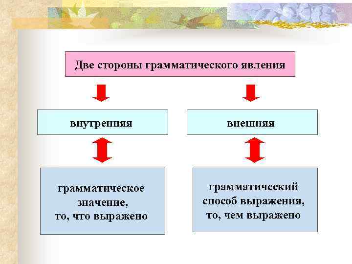 Грамматическая структура