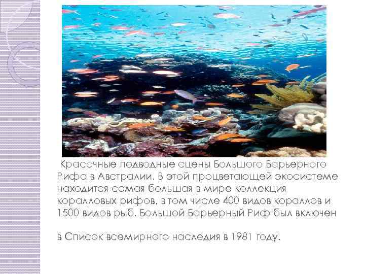 Красочные подводные сцены Большого Барьерного Рифа в Австралии. В этой процветающей экосистеме находится самая