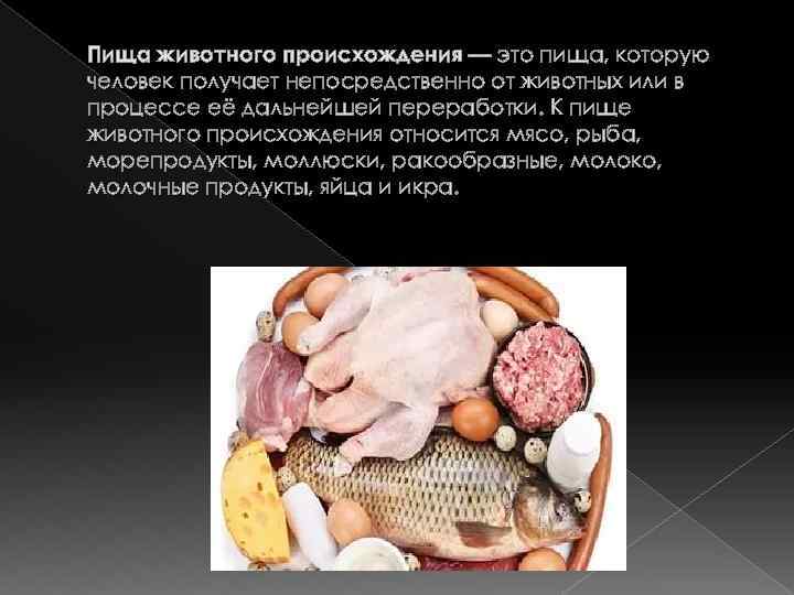 Пища животного происхождения — это пища, которую человек получает непосредственно от животных или в