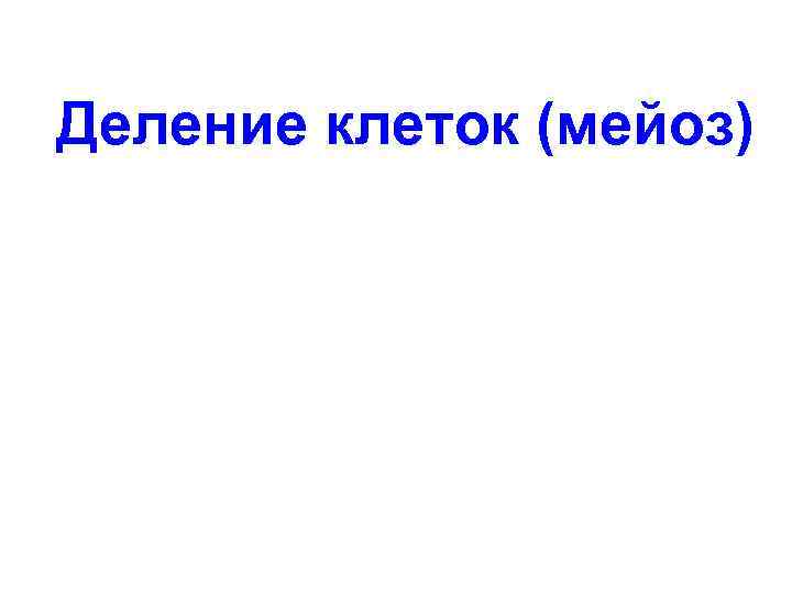 Деление клеток (мейоз) 