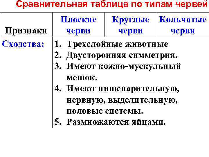 Сравнительная таблица по типам червей Плоские Круглые Кольчатые Признаки черви Сходства: 1. Трехслойные животные