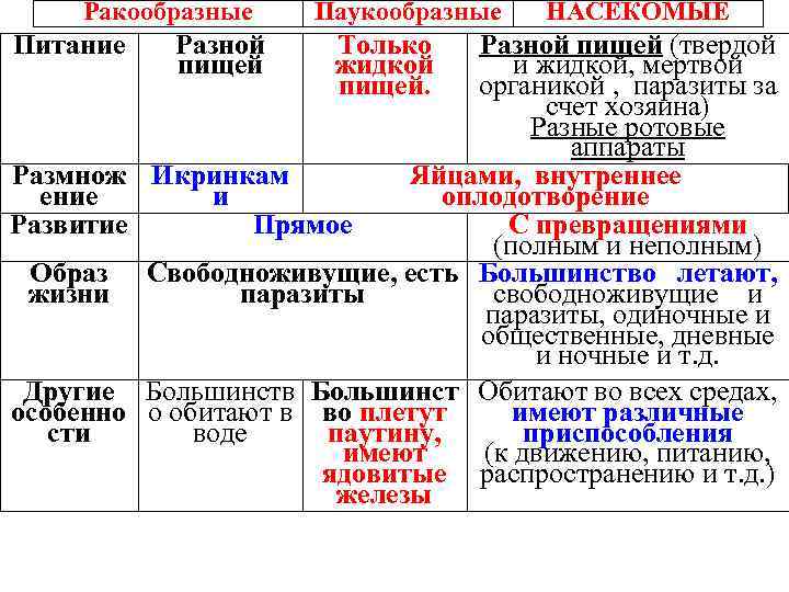 Ракообразные Питание Разной пищей Паукообразные Только жидкой пищей. НАСЕКОМЫЕ Разной пищей (твердой и жидкой,