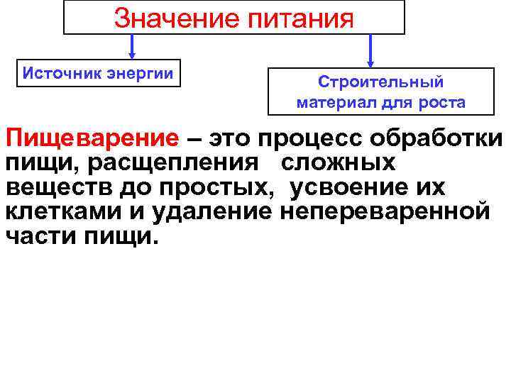 Значение питания Источник энергии Строительный материал для роста Пищеварение – это процесс обработки пищи,
