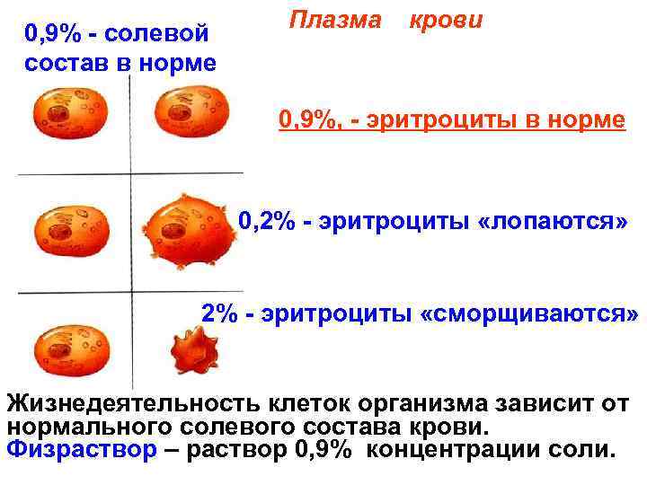 0, 9% - солевой состав в норме Плазма крови 0, 9%, - эритроциты в