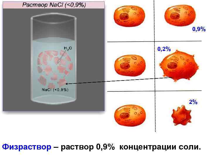 0, 9% 0, 2% 2% Физраствор – раствор 0, 9% концентрации соли. 