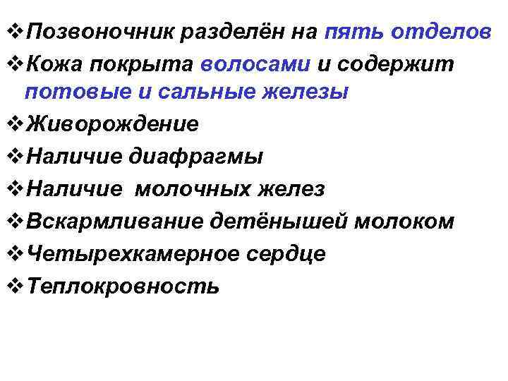 v. Позвоночник разделён на пять отделов v. Кожа покрыта волосами и содержит потовые и