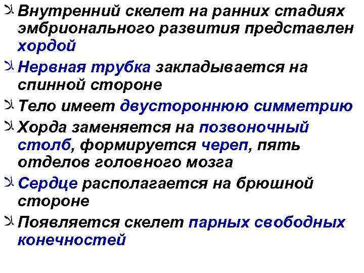  ﻼ Внутренний скелет на ранних стадиях эмбрионального развития представлен хордой ﻼ Нервная трубка