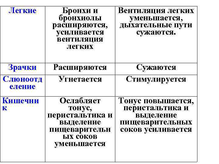 Легкие Бронхи и бронхиолы расширяются, усиливается вентиляция легких Вентиляция легких уменьшается, дыхательные пути сужаются.