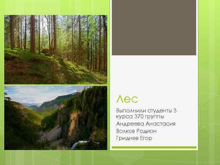 Лес Выполнили студенты 3 курса 370 группы Андреева Анастасия Волков Родион Гриднев Егор 