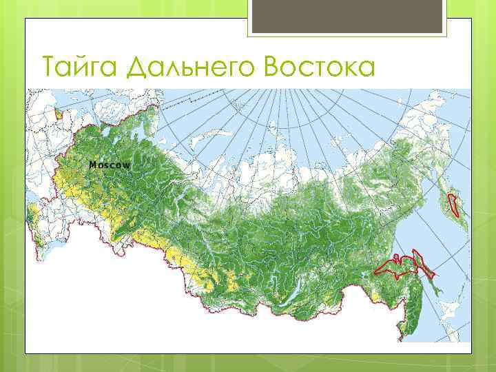 Карта тайги россии с городами подробная