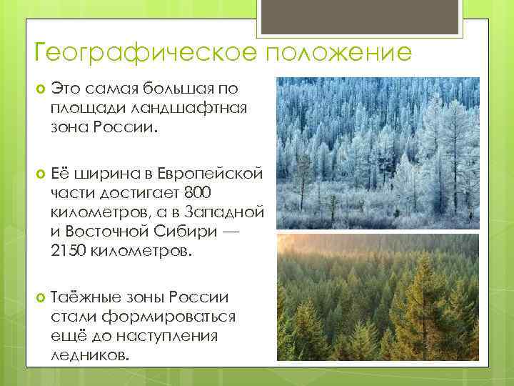 Географическое положение Это самая большая по площади ландшафтная зона России. Её ширина в Европейской