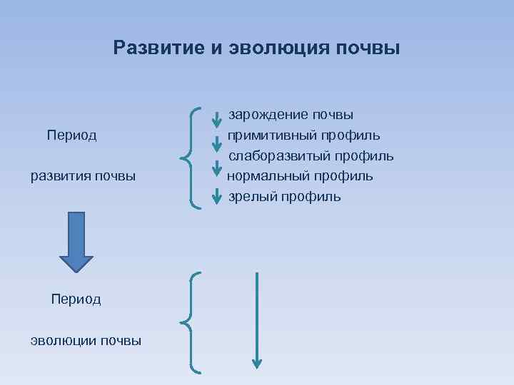 Развитие и эволюция почвы Период развития почвы Период эволюции почвы зарождение почвы примитивный профиль