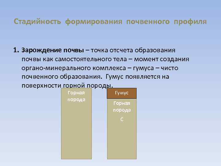 Стадийность формирования почвенного профиля 1. Зарождение почвы – точка отсчета образования почвы как самостоятельного