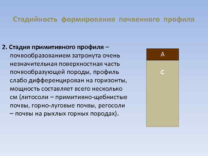 Общая схема почвообразовательного процесса и формирование почвенного профиля