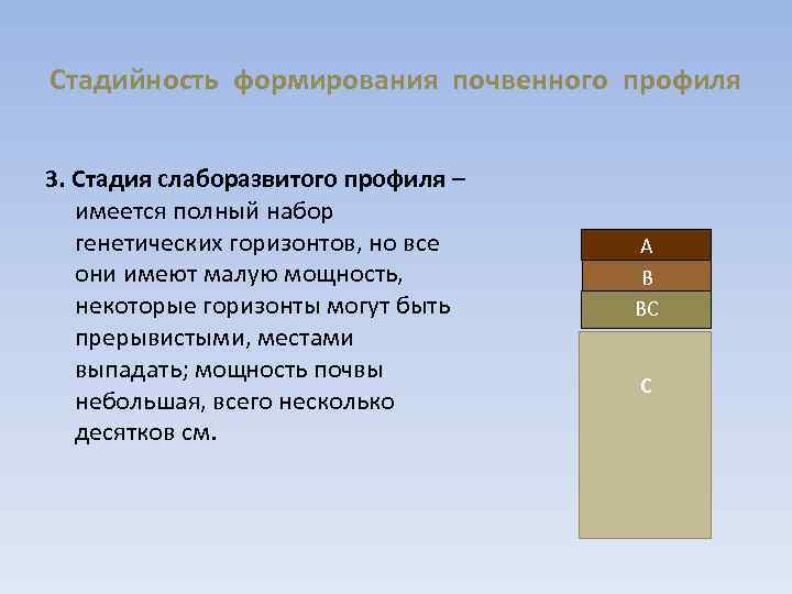 Стадийность формирования почвенного профиля 3. Стадия слаборазвитого профиля – имеется полный набор генетических горизонтов,