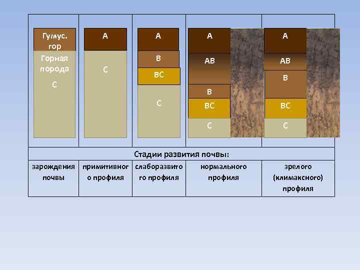 Стандартный образец почвы