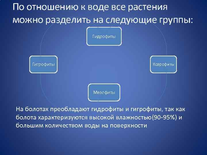 По отношению к воде все растения можно разделить на следующие группы: Гидрофиты Гигрофиты Ксерофиты