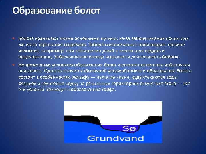 Образование болот Болота возникают двумя основными путями: из-за заболачивания почвы или же из-за зарастания