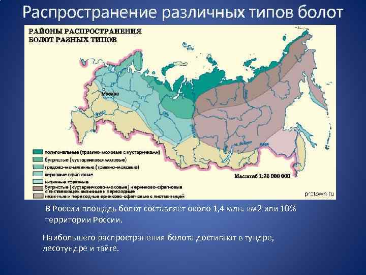 Территория россии составляет 1 3 площади. Болота районы распространения болот. Площадь болот в России. Территория болот в России.