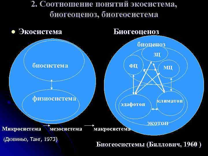 Схема многообразие биогеоценозов экосистем