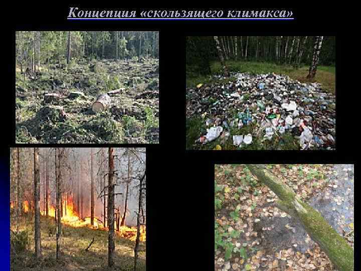 Концепция «скользящего климакса» 