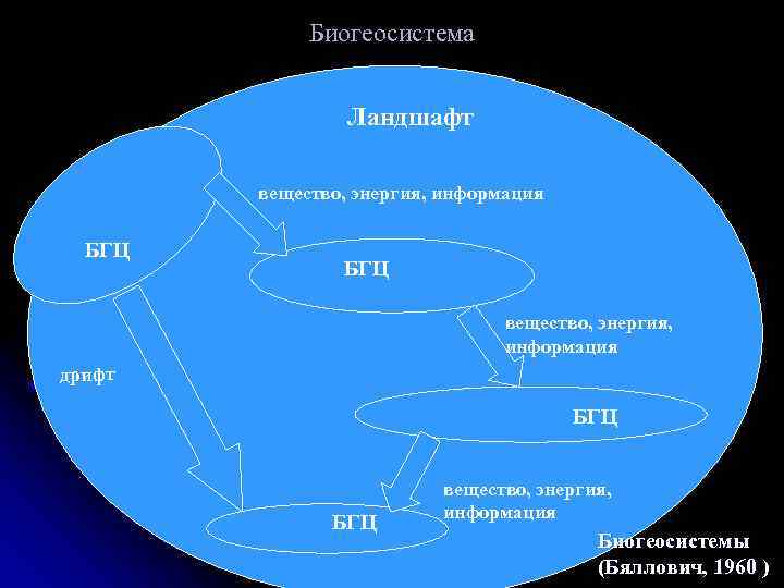 Биогеосистема Ландшафт вещество, энергия, информация БГЦ вещество, энергия, информация дрифт БГЦ вещество, энергия, информация