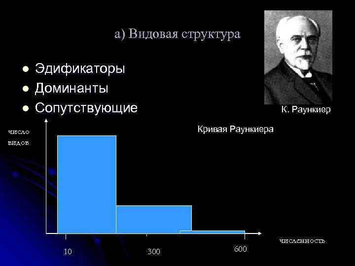 а) Видовая структура l l l Эдификаторы Доминанты Сопутствующие К. Раункиер Кривая Раункиера число