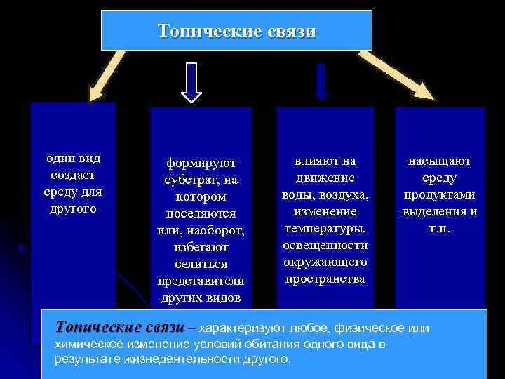 Вид связи между. Топические связи. Топические связи примеры. Топические взаимоотношения пример. Примеры топически связей.