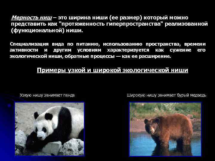 Мерность ниш – это ширина ниши (ее размер) который можно представить как "протяженность гиперпространства"