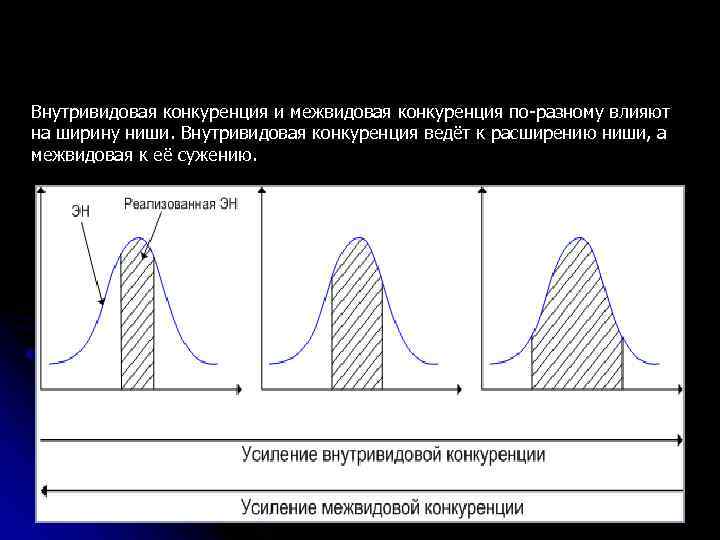 Внутривидовая конкуренция и межвидовая конкуренция по-разному влияют на ширину ниши. Внутривидовая конкуренция ведёт к