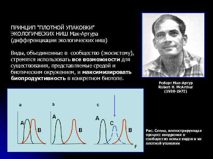 ПРИНЦИП "ПЛОТНОЙ УПАКОВКИ" ЭКОЛОГИЧЕСКИХ НИШ Мак-Артура (дифференциации экологических ниш) Виды, объединенные в сообщество (экосистему),