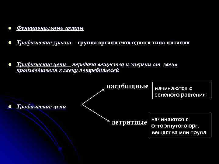 l Функциональные группы l Трофические уровни – группа организмов одного типа питания l Трофические