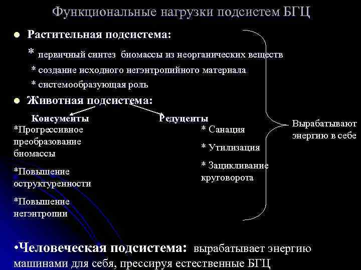 Функциональные нагрузки подсистем БГЦ l Растительная подсистема: * первичный синтез биомассы из неорганических веществ