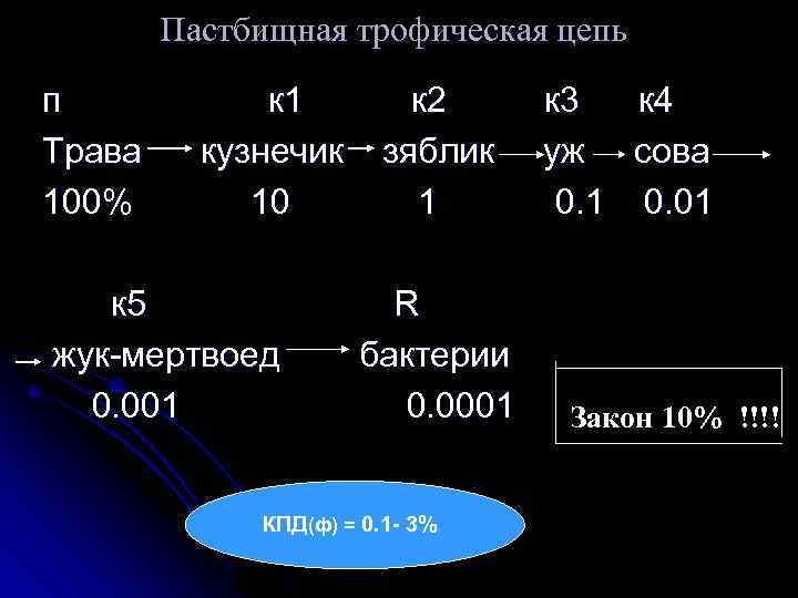 Пастбищная трофическая цепь п к 1 к 2 к 3 к 4 Трава кузнечик
