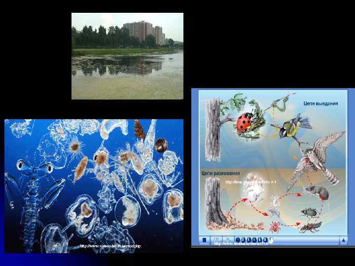 http: //tana. ucoz. ru/load/345 -2 -2 http: //www. vistavoda. ru/clearvod. php http: //www. labirint.