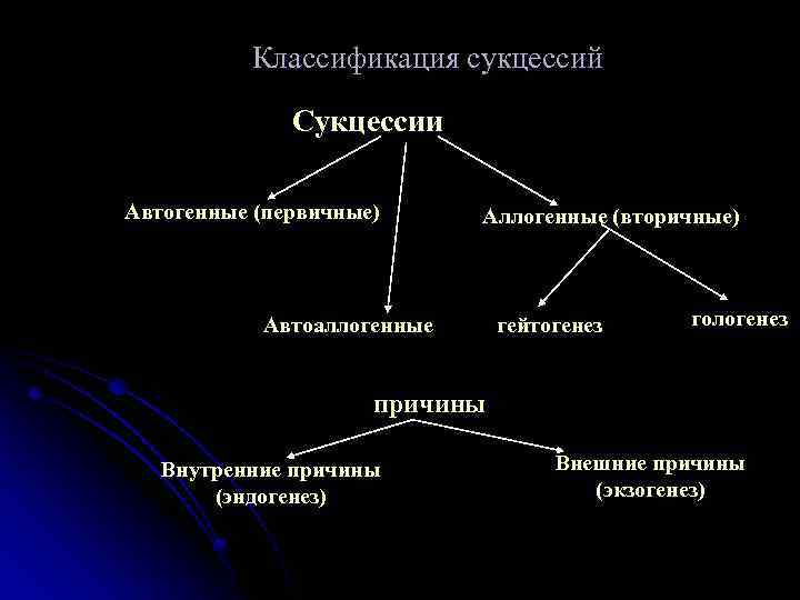 Классификация сукцессий Сукцессии Автогенные (первичные) Аллогенные (вторичные) Автоаллогенные гейтогенез гологенез причины Внутренние причины (эндогенез)
