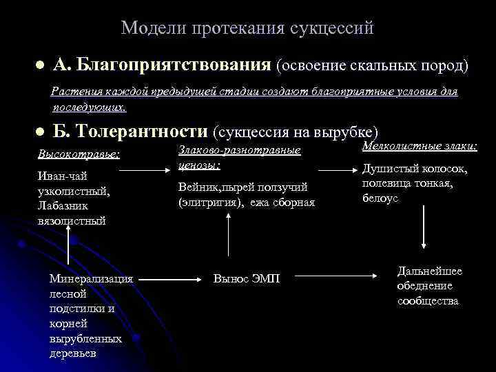 Модели протекания сукцессий l А. Благоприятствования (освоение скальных пород) Растения каждой предыдущей стадии создают