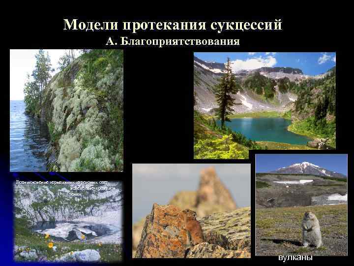 Модели протекания сукцессий А. Благоприятствования Возникновение термальных карстовых озер, вследствие провалов земли вулканы 