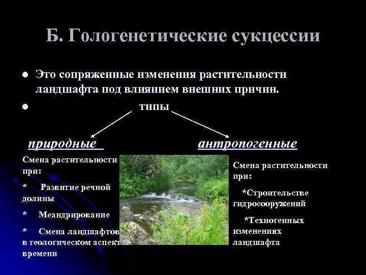 Б. Гологенетические сукцессии l l Это сопряженные изменения растительности ландшафта под влиянием внешних причин.