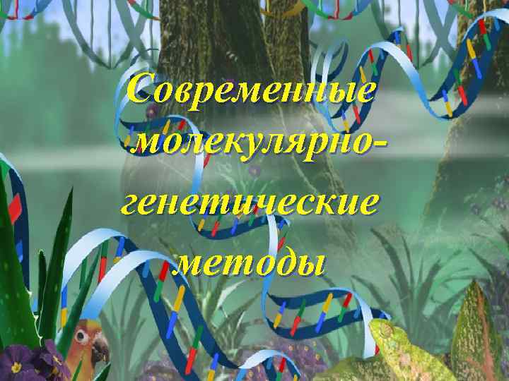 Современные молекулярногенетические методы 