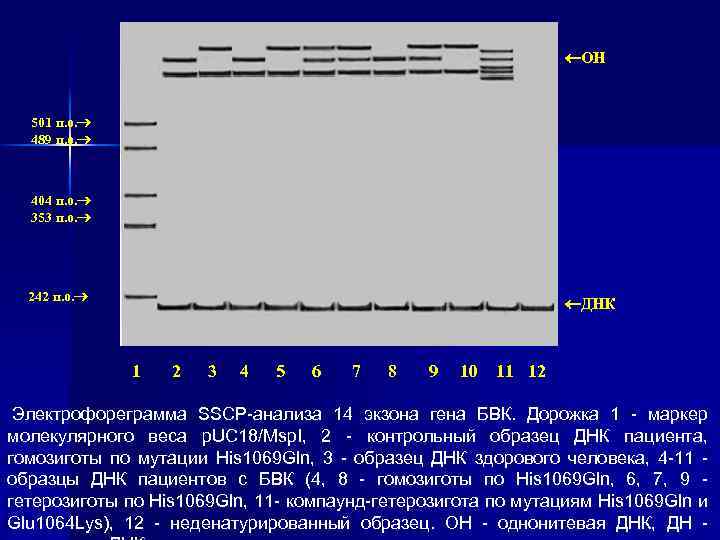  ОН 501 п. о. 489 п. о. 404 п. о. 353 п. о.